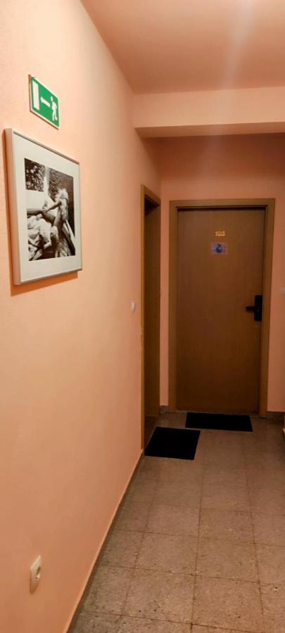 Villa Dm Baška Voda Exterior foto